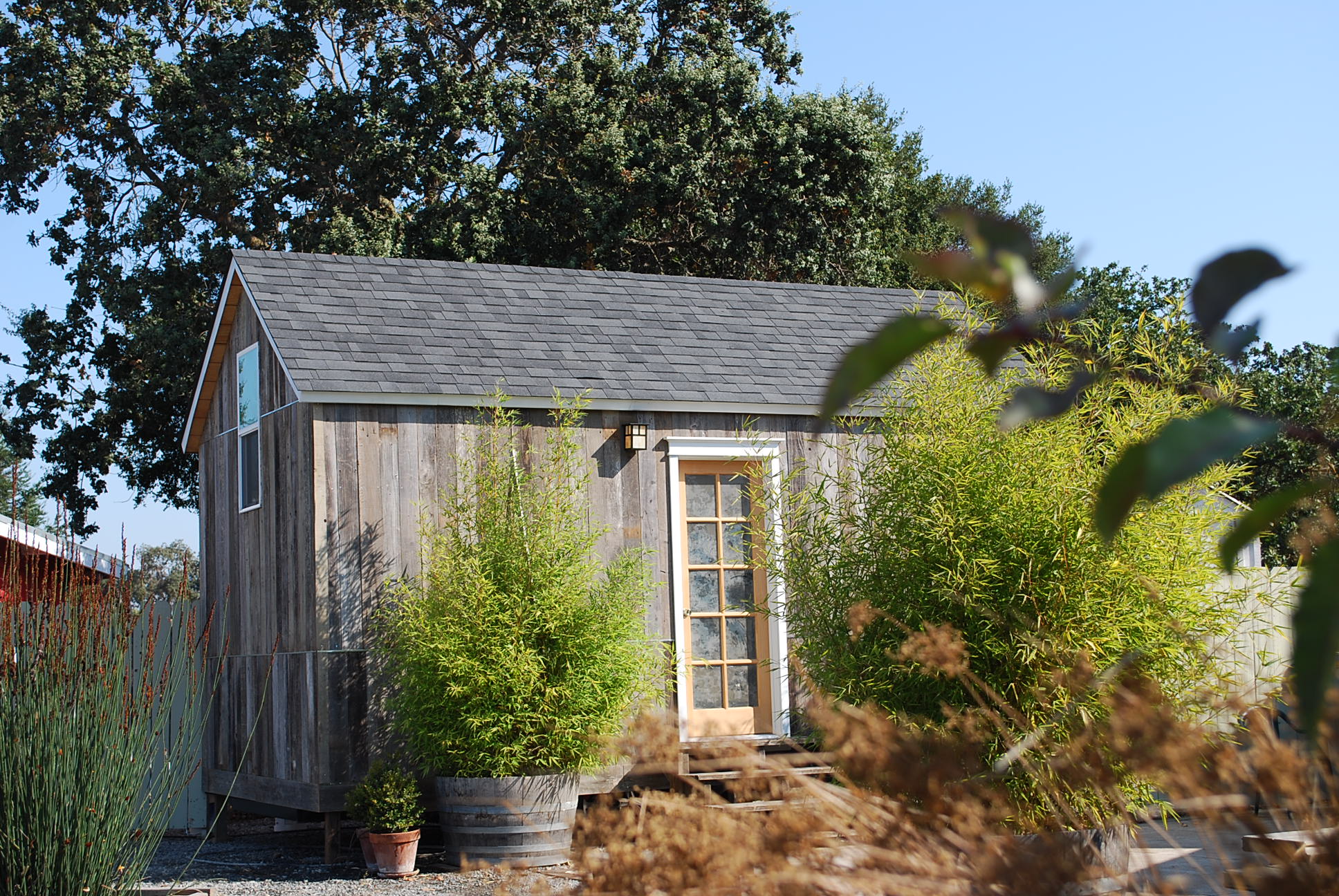 Tiny House Hero Picture