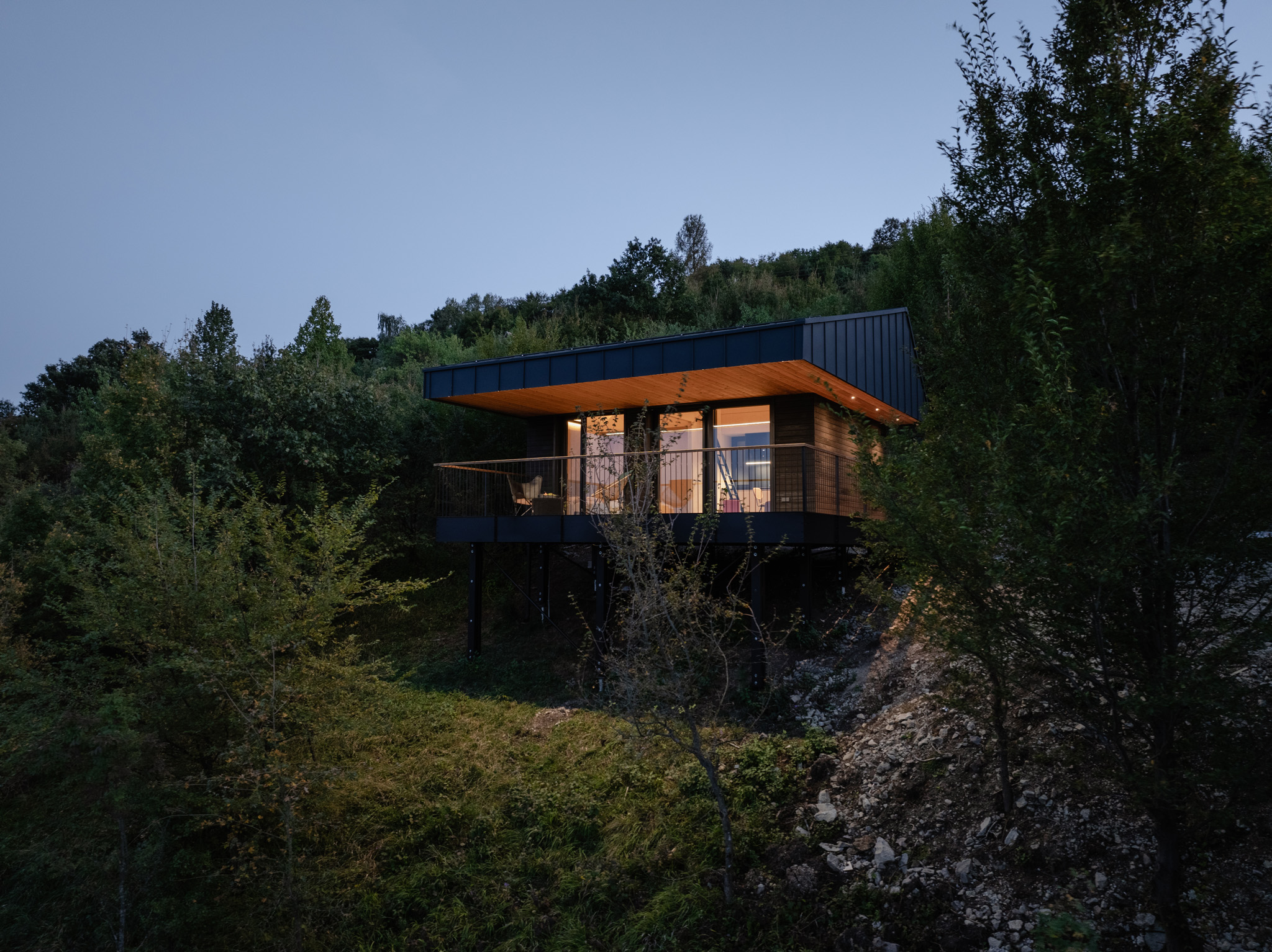 Tiny House Hero Picture